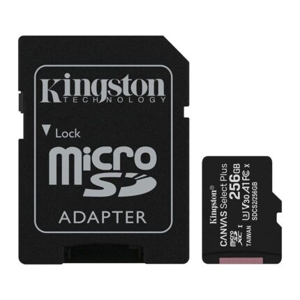 Kingstone Memory Card Class10 - 256GB