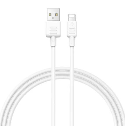 RECCI Cable RS10L lightning
